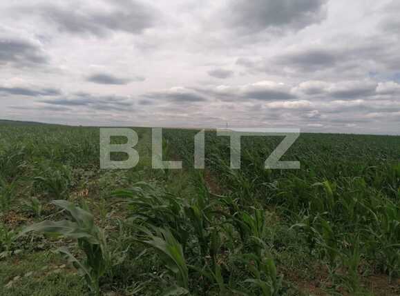 Teren de vânzare Exterior Vest - 88986TV | BLITZ Iași | Poza4