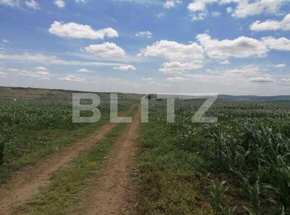 Teren de vânzare Exterior Vest - 88986TV | BLITZ Iași | Poza3