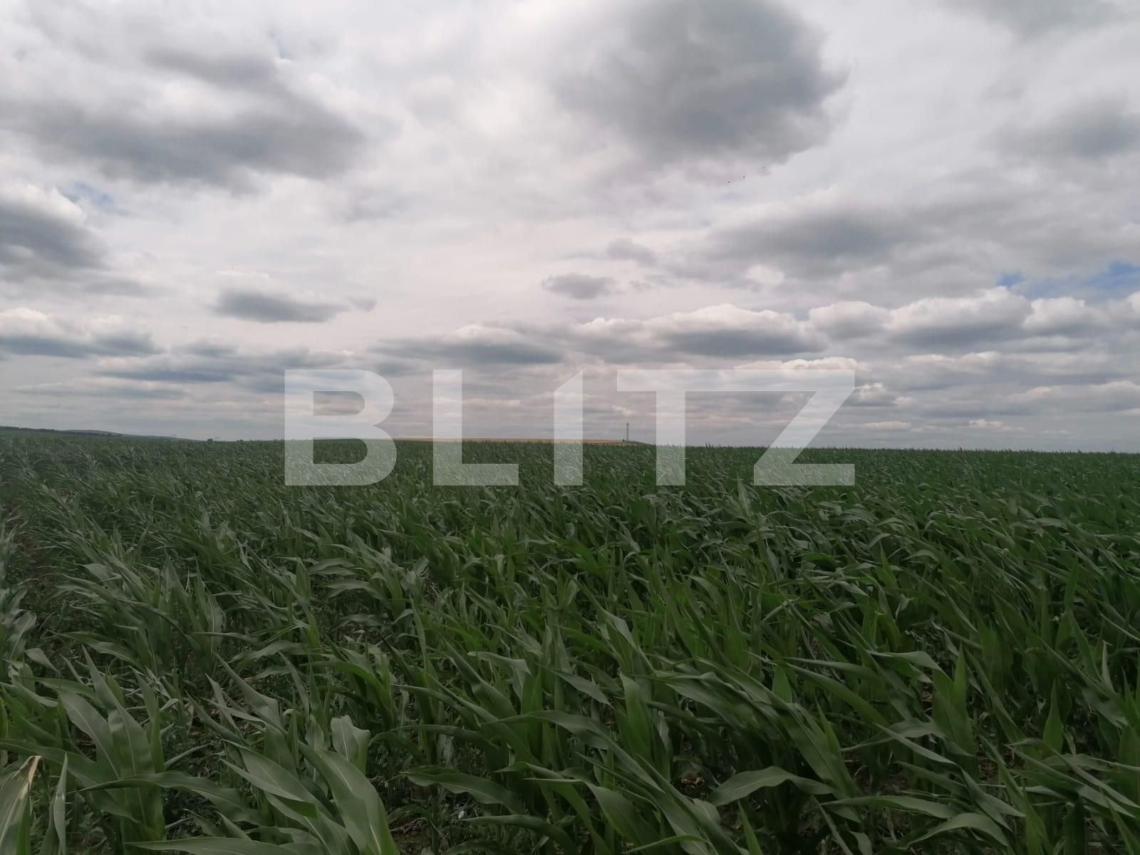 Teren de vânzare Exterior Vest - 88986TV | BLITZ Iași | Poza2