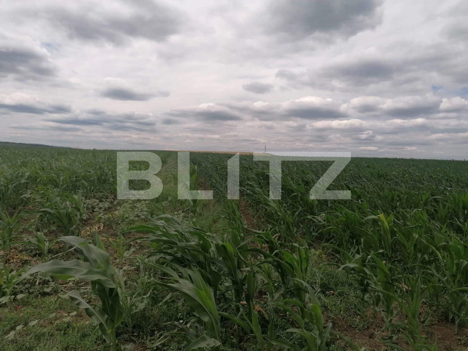 Teren de vânzare Exterior Vest - 88986TV | BLITZ Iași | Poza4