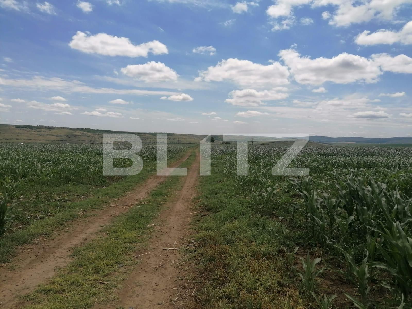 Teren de vânzare Exterior Vest - 88986TV | BLITZ Iași | Poza3