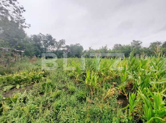 Casa de vânzare 4 camere Exterior Nord - 89137CV | BLITZ Iași | Poza4