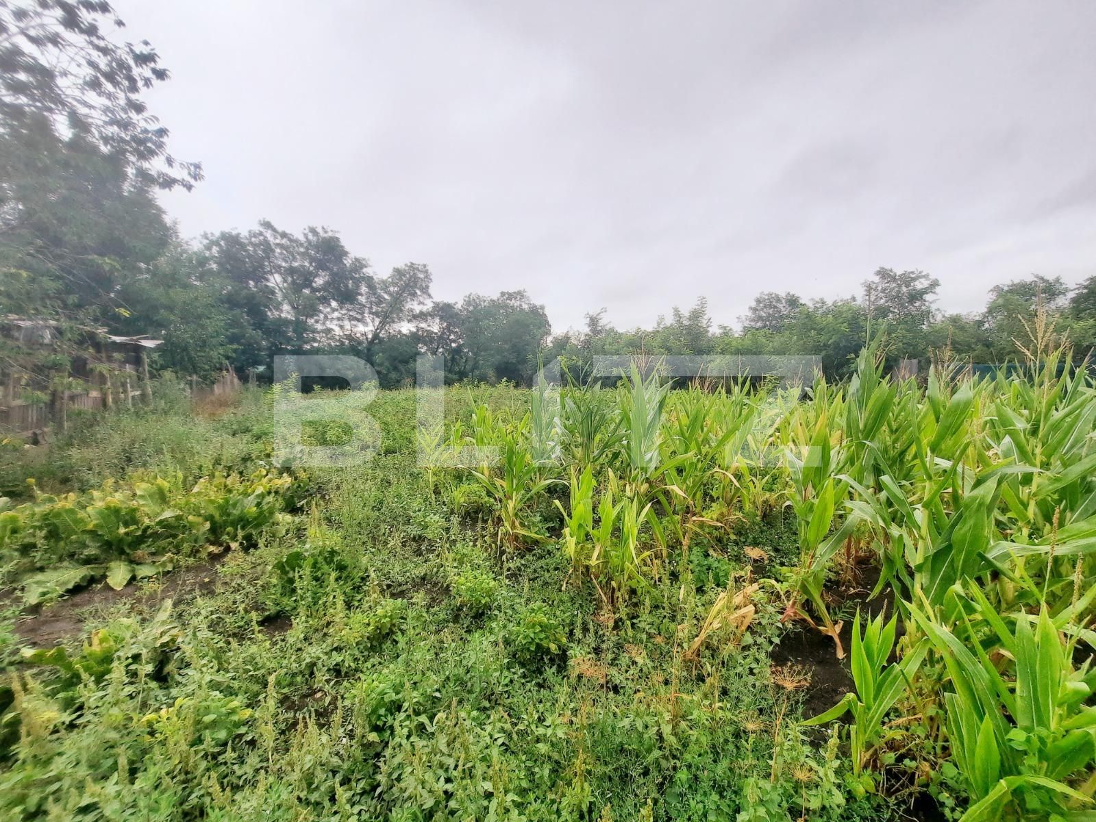 Casa de vânzare 4 camere Exterior Nord - 89137CV | BLITZ Iași | Poza4