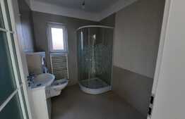 Casa de 4 camere, 140 mp, teren 500 mp, crama cu beci, Lunca Cetatuii