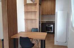 Apartament de 2 camere, lux, 50 mp, parcare, zona Tatarasi