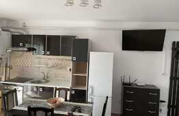 Apartament de 2 camere, 40mp, parcare, zona Tudor Neculai
