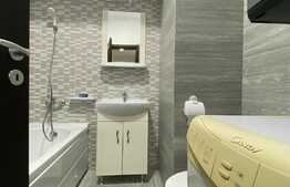 Apartament de 2 camere, 35 mp, modern, Pet Friendly, zona Tatarasi