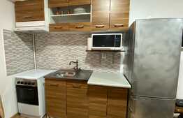 Apartament de 2 camere, 35 mp, modern, Pet Friendly, zona Tatarasi