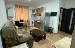 Apartament de 2 camere, 35 mp, modern, Pet Friendly, zona Tatarasi
