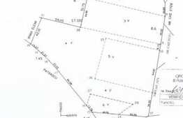 Teren intravilan de 29800 mp, Tomesti