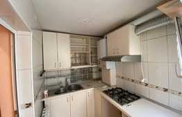 Apartament 4 camere, 74mp, Centru Palas