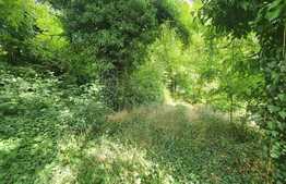 Teren REZIDENTIAL 2000 mp, Strada Aurora, Copou