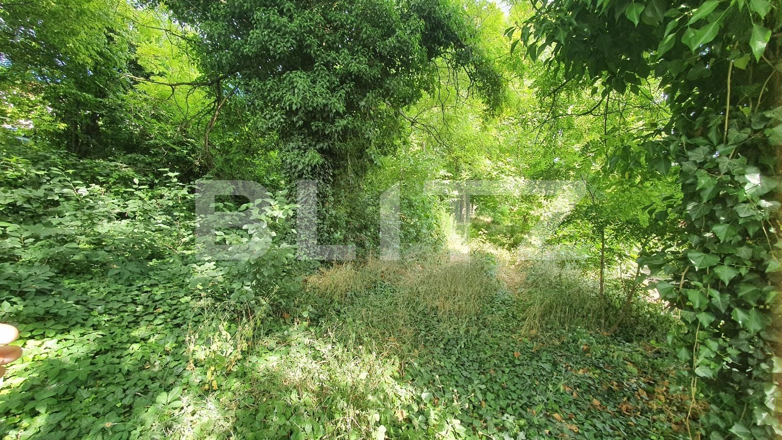 Teren de vânzare Copou - 89769TV | BLITZ Iași | Poza3