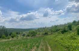 Teren de 600 mp, partial intravilan, padurea Uricani