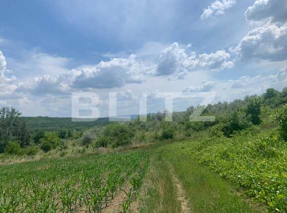 Teren de vânzare Miroslava - 89895TV | BLITZ Iași | Poza1