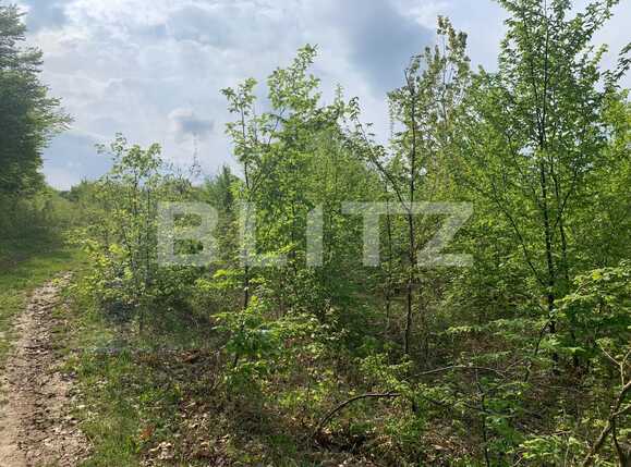 Teren de vânzare Miroslava - 89900TV | BLITZ Iași | Poza2