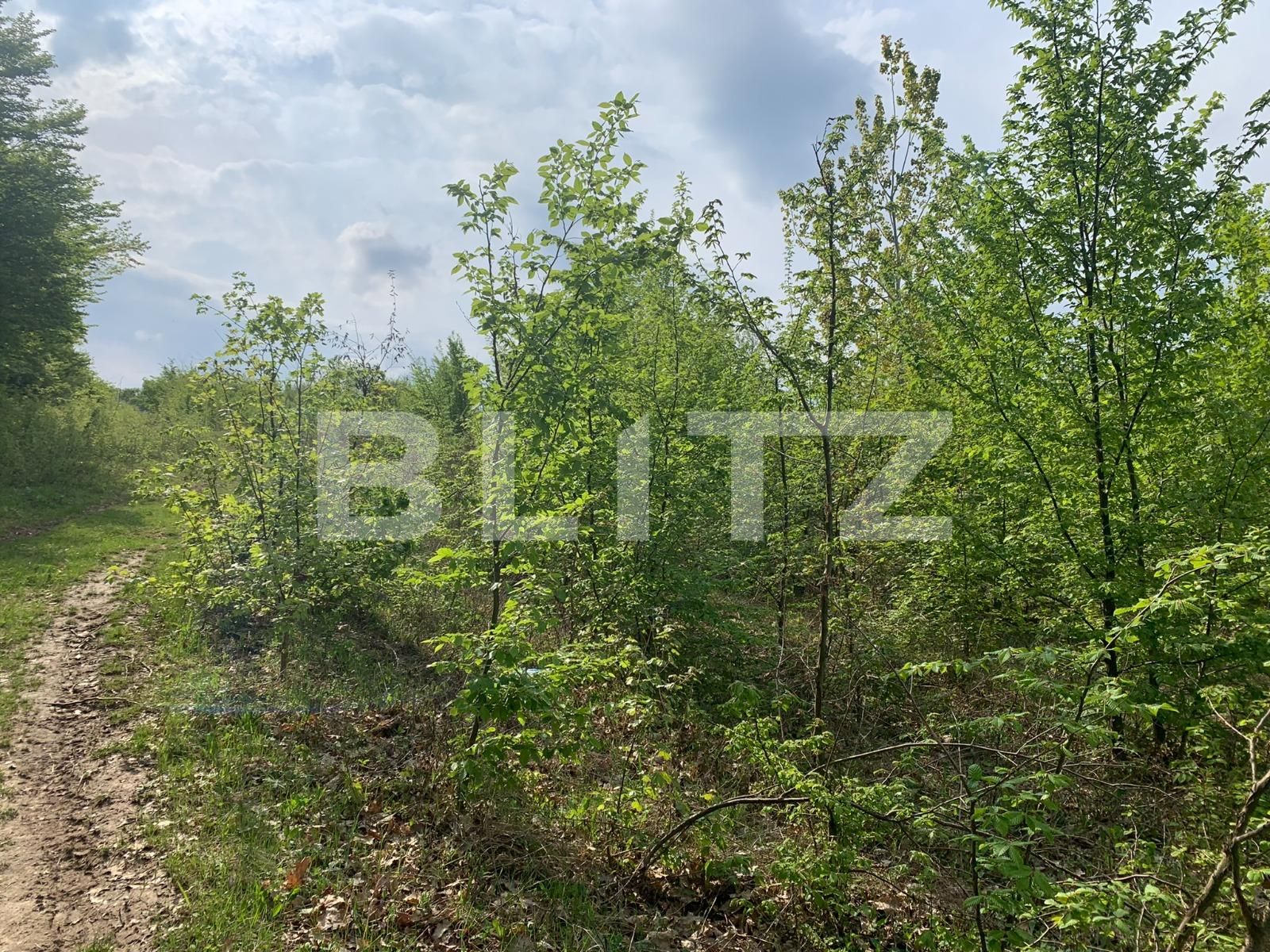 Teren de vânzare Miroslava - 89900TV | BLITZ Iași | Poza2