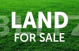 Teren de 2400 mp, partial intravilan, padurea Uricani