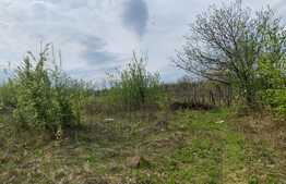 Teren de 2400 mp, partial intravilan, padurea Uricani