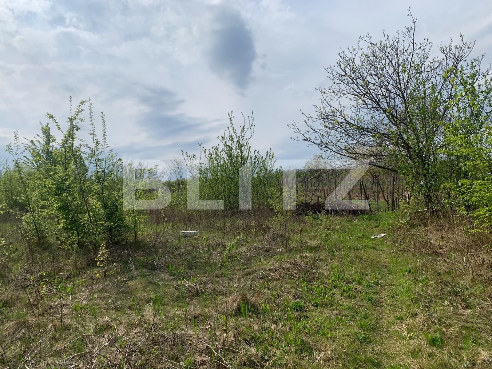 Teren de vânzare Miroslava - 89902TV | BLITZ Iași | Poza2