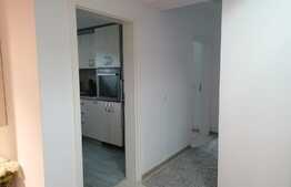 Apartament de 2 camere, 50 mp, semidecomandat, zona Moara de Vant