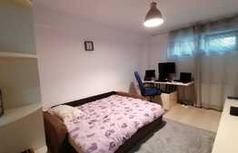 Apartament de 2 camere, 50 mp, semidecomandat, zona Moara de Vant