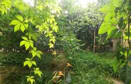 Apartament de 2 camere, 35 mp, semidecomandat, zona Copou 