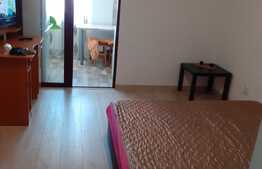 Garsoniera 25 mp, complet mobilata, zona Alexandru cel Bun