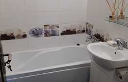 Garsoniera 25 mp, complet mobilata, zona Alexandru cel Bun