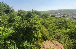 Teren intravilan 1846mp, 2 cai de acces, Barnova-Castelul Grecilor 