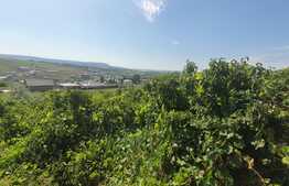 Teren intravilan 1846mp, 2 cai de acces, Barnova-Castelul Grecilor 