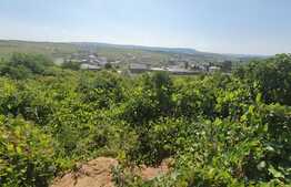 Teren intravilan 1846mp, 2 cai de acces, Barnova-Castelul Grecilor 