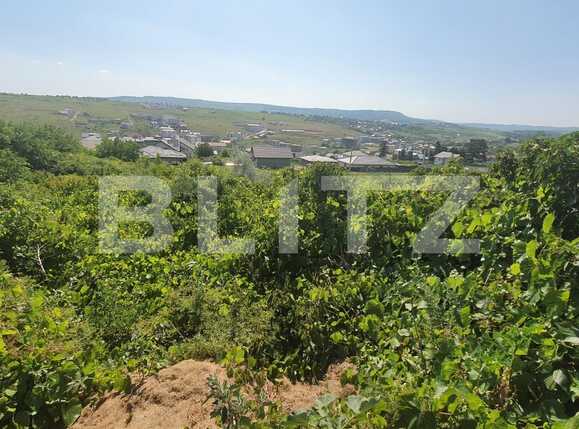 Teren de vânzare Visani - 89997TV | BLITZ Iași | Poza3