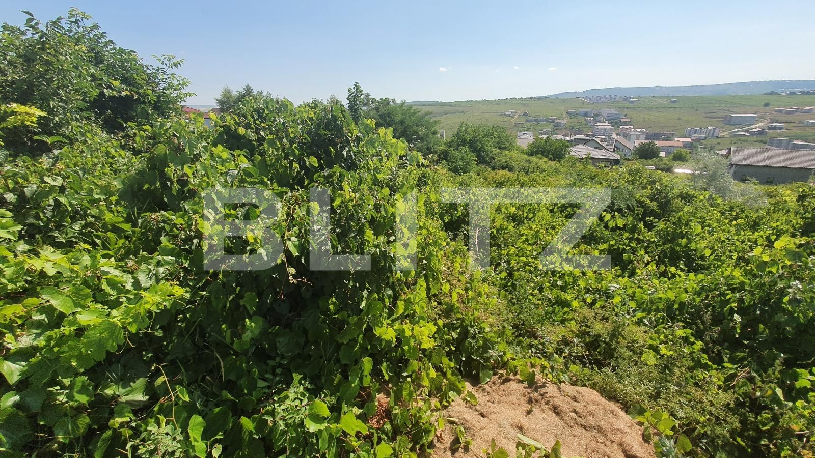 Teren de vânzare Visani - 89997TV | BLITZ Iași | Poza5