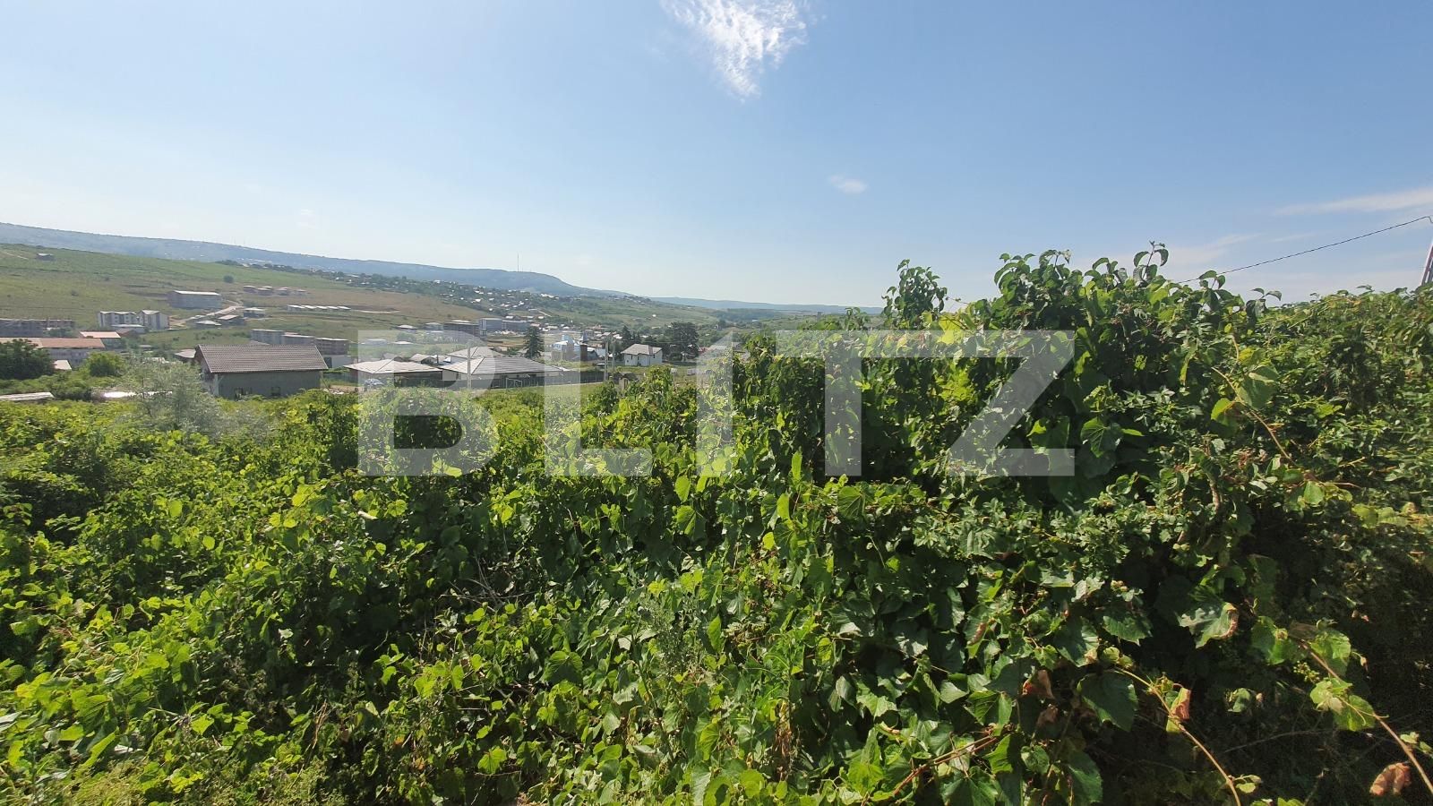 Teren de vânzare Visani - 89997TV | BLITZ Iași | Poza4