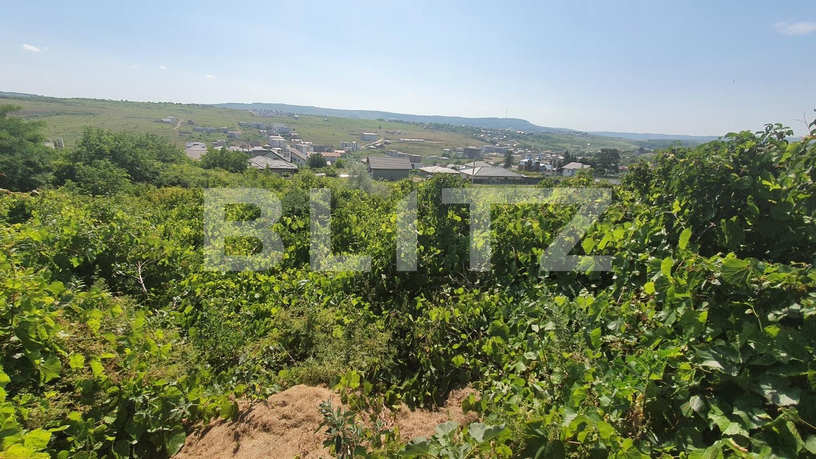 Teren de vânzare Visani - 89997TV | BLITZ Iași | Poza3