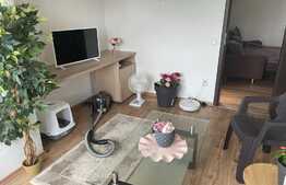 Apartament de 3 camere, 58,4 mp, decomandat, zona Tatarasi