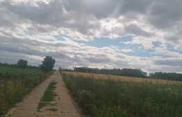 Teren 1000 mp, 30 ml deschidere la drum betonat, Moara de Vant