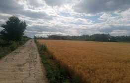 Teren 1000 mp, 30 ml deschidere la drum betonat, Moara de Vant