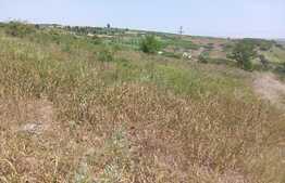 Teren extravilan Sorogari 2700 mp