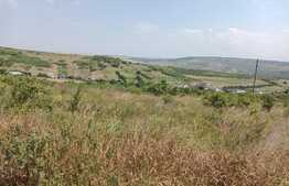 Teren extravilan Sorogari 2700 mp