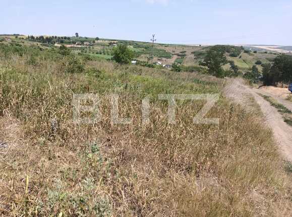 teren de vanzare Sorogari, com. Aroneanu, jud. Iasi | Poza5