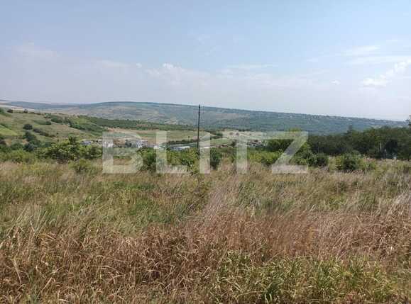 teren de vanzare Sorogari, com. Aroneanu, jud. Iasi | Poza3