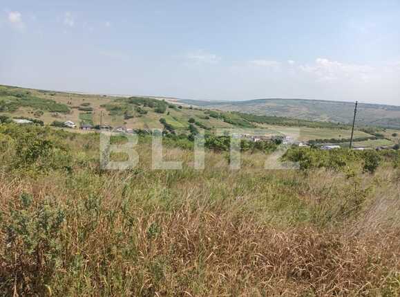 teren de vanzare Sorogari, com. Aroneanu, jud. Iasi | Poza4