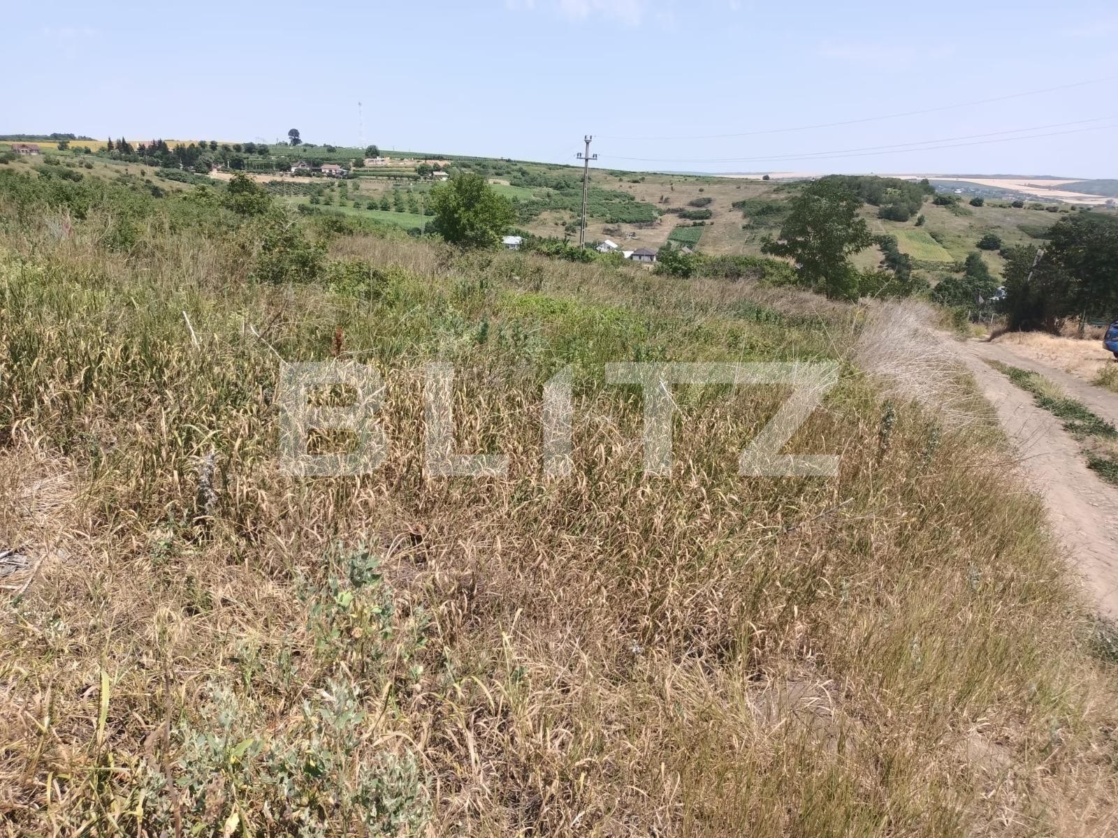 teren de vanzare Sorogari, com. Aroneanu, jud. Iasi | Poza5