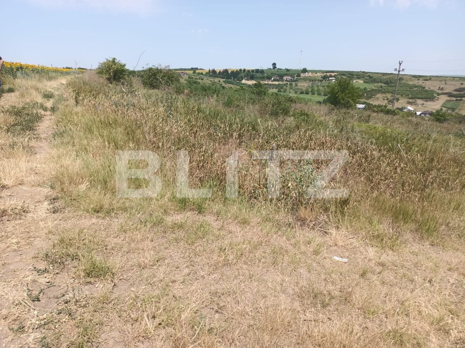 teren de vanzare Sorogari, com. Aroneanu, jud. Iasi | Poza2