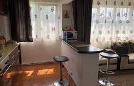 Apartament de 3 camere, modern, 60 mp, AC, zona Podu Ros