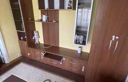 Apartament de 2 camere, 45mp, etaj intermediar, zona Podu Ros