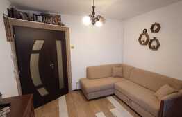 Apartament de 2 camere, 39 mp, balcon, zona liceului Miron Costin 