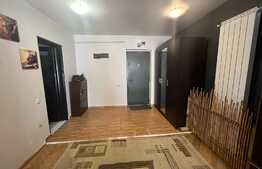 Apartament de 2 camere, mobilat si utilat, 50 mp, Tatarasi